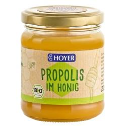 Propolis im Honig