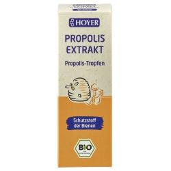 Propolis im Honig