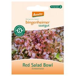 Eichblattsalat Red Salad Bowl