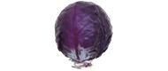 Rotkohl (1 kg)