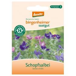 Schopfsalbei