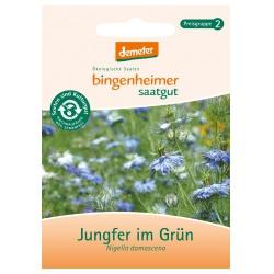 Jungfer im Grün