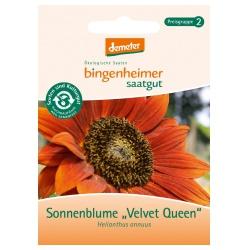 Sonnenblumen Velvet Queen