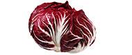 Radicchio (1 kg)