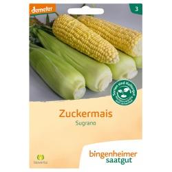 Zucchini Zuboda