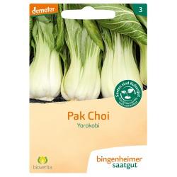 Pak Choi Yorokobi