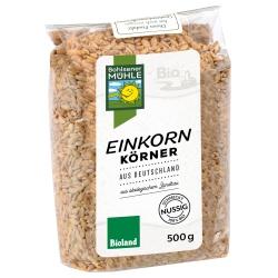 Einkorn