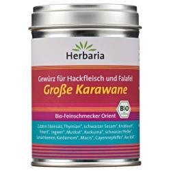 Hackfleisch- & Falafelgewürz Große Karawane