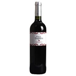 Tempranillo CAMINO ROBLE Tinto Zentralspanien Irjimpa 2018