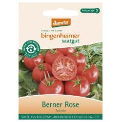 Tomaten Berner Rose