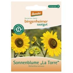 Sonnenblumen Velvet Queen