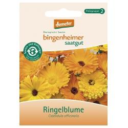 Ringelblume