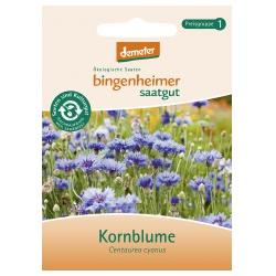 Kornblume